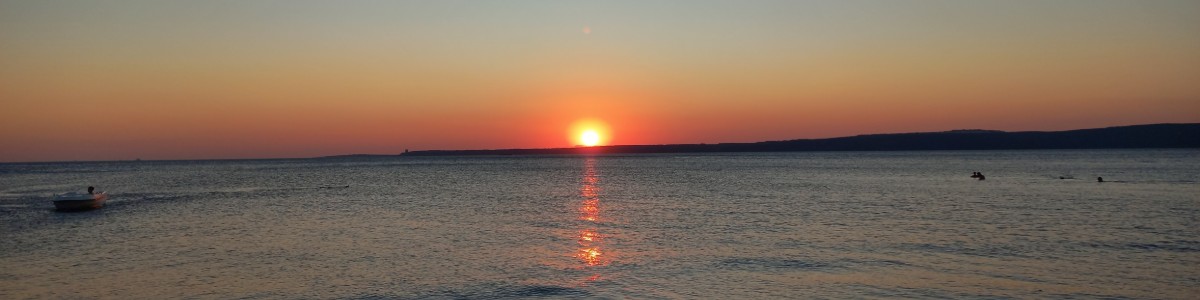 Profile Header