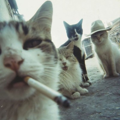 Profil Fotoğrafı